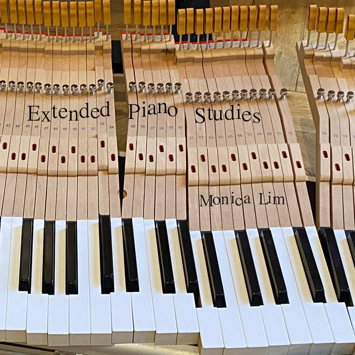 Extended Piano Studies — album cover